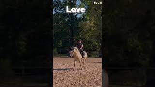 horse  reagge ❤️❤️❤️❤️ pony equestrian bestpony dressage riding ponypower [upl. by Evander]