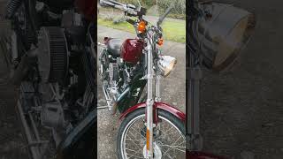 Warmed up for transmission oil change harleydavidson sportster1200 harley [upl. by Lachman191]