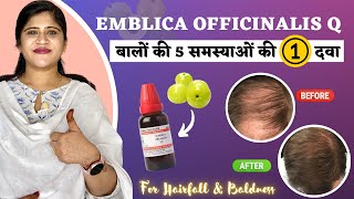 One Homeopathic medicine for 5 Hair Problems  आँवला से बनी दवा  Emblica Officinalis Q [upl. by Reteid732]