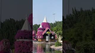 Miracle Garden✨ dubai miraclegardendubai miraclegarden fyp [upl. by Ethan]