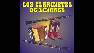 Los Clarinetes De Linares  Clarinetes Calientes [upl. by Ahsiken]