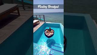 Honeymoon in Maldives  AlFatah Travels [upl. by Ecinue]