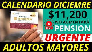 No aumentará la pensión 2025 Y calendario diciembre pago de 11 mil 200 💰✅ [upl. by Nasus]