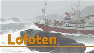 Lofoten  The magic Islands in Norway one of the worlds best destinations [upl. by Fransis]