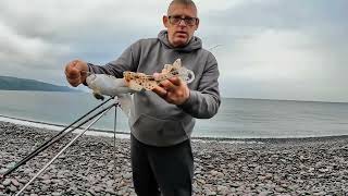 Dongle Fishing at Bossington Bristol Channel [upl. by Nino]