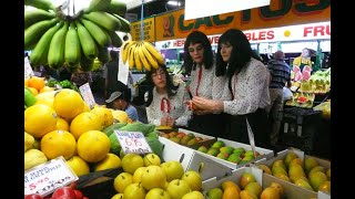 The Kransky Sisters come to Adelaide with A Cracker Kransky Christmas 30 Nov 2024 [upl. by Florance]