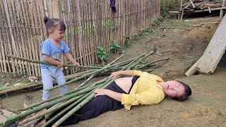 Build a trellis for cowpea plants harvest vegetables to sell [upl. by Briano]