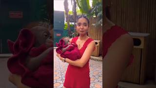 Anushka loves animals part 3anushkasenanimalanimalloverloveyouzindagilovepetlovershortsmusic [upl. by Belle]