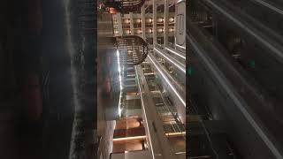 holiday inn 5 stat hotel jaipur rajesthan [upl. by Maryellen104]