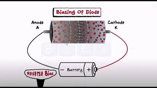 Junção PN polarização Reversa [upl. by Yolande]