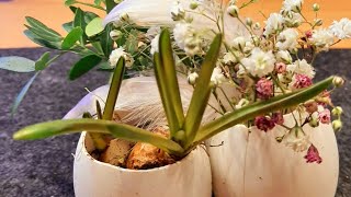 Ostern 2024 Eier werden zu Vasen und Blumentopf spring easter easy diy hack [upl. by Nnaeiram]