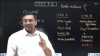 Link between Urea cycle and Pyrimidine NT synthesis  CPS 1 and 2 Orotic aciduria in Type 2 UCD [upl. by Emelun]