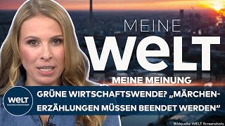 MEINE MEINUNG Grüne Wirtschaftswende quotMärchenerzählungen müssen beendet werdenquot – Nena Brockhaus [upl. by Nylarej]