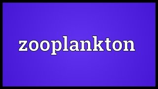 Zooplankton Meaning [upl. by Yong]