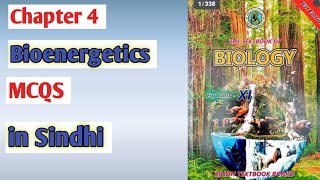 bioenergetics MCQS  class 11 biology Sindh board [upl. by Feilak]