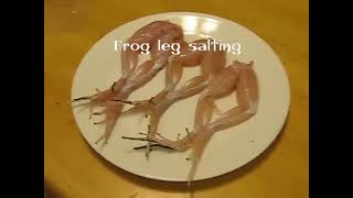 Frog leg salting [upl. by Ylrahc]