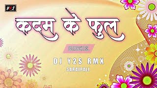 Kadam Ke Phool कदम के फूल  Cg Remix DJ Y2S RMX SARAIPALI [upl. by Hurlee]