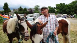 Ballabuidhe Horse Fair [upl. by Francklyn]