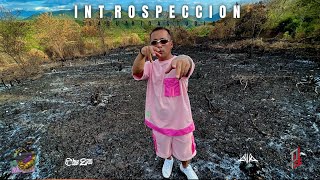 PLF  Introspeccion  Video Oficial [upl. by Enal387]