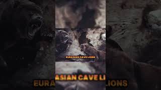 Eurasian Cave Lions Hunted Cave Bears ancienthistory [upl. by Horne]