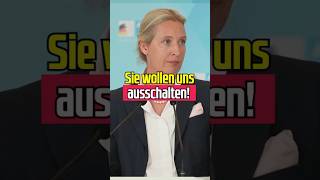 So wollen Sie uns ausschalten aliceweidel [upl. by Farra977]