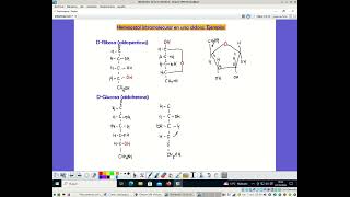 A vueltas con los monosacáridos III Anómeros y formas cíclicas [upl. by Assirral]