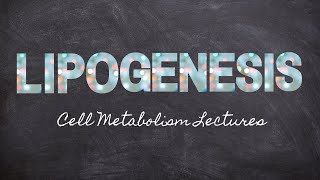 Learning Lipogenesis  Part 12 Metabolism Foundations  Nourishable Macronutrients Lecture 28 [upl. by Egreog146]