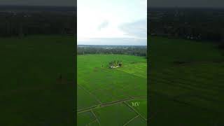 VillageThambalaPolonnaruwaSri Lanka 🇱🇰villagevlog village foryourpage fypシ゚viral srilanka [upl. by Ahsino]