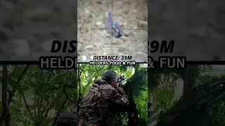 hunting pigeon pigeons airrifle shootingairrifle gopro shootingpigeons woodpigeon niceshot [upl. by Selwin]