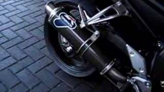 Termignoni fazer fz1 with sound [upl. by Fernandina]