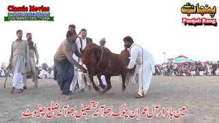 Horse Dance Jashne Bodla Bahar Day 2nd 2017 Abadi Shahbaz Nagar Pakpattan 23 [upl. by Byler772]