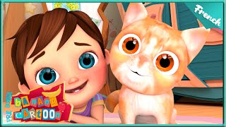 Chanson du Chaton  Petit Chaton Gros Câlin  Comptines et chansons pour enfants  Banana Cartoon [upl. by Anaibaf314]