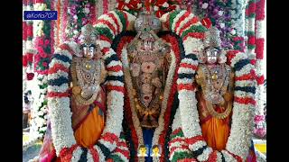 🙏pidikita thalumbrala pelli kuthuru 🙏lord Venkateswara songs [upl. by Myca]