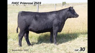 Lot 30 FHCC Primrose 2503 [upl. by Premer]