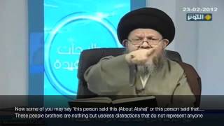 Imam Alis words on Aisha  S Kamal Haidari ENG SUB [upl. by Annais]