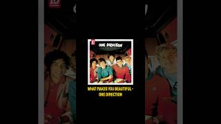 What Makes You Beautiful Karaoke  One Direction Karaoke Version DUETTHIS karaoke onedirection [upl. by Caldeira525]