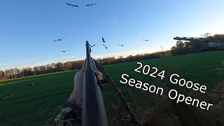 Opening Day Goose Hunt 4Man Limit Achieved [upl. by Cart]