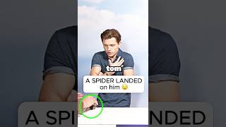 A SPIDER LANDED ON TOM HOLLAND 😭 [upl. by Funda]