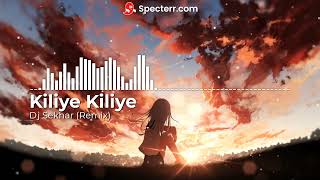 Dj sekhar  Kiliye Kilye Remix [upl. by Ydnor]