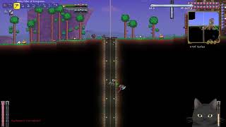 Modded Terraria Ep 10 [upl. by Felisha]