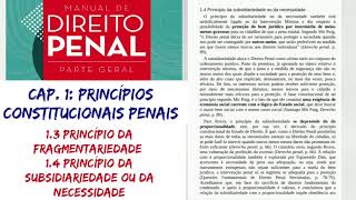 3 Princípios da Fragmentariedade e da Subsidiariedade ou necessidade [upl. by Giark]