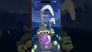 Galarian weezing dominates great league  Pokémon Go GBL l 90 [upl. by Gniw]