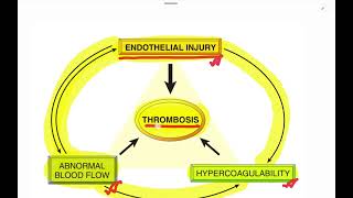 Thrombosis  General Pathology  Bangla [upl. by Tomkiel]