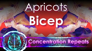 Bicep  Apricots  Concentration Repeat [upl. by Lilah]