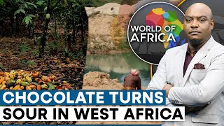 Chocolate prices rises as West Africa’s cocoa crisis deepens  World Of Africa [upl. by Toni895]