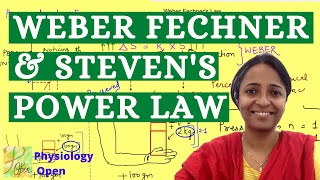 Weber Fechner law and Steven Power law  Sensory physiology lectures  CNS physiology mbbs 1st year [upl. by Roxine]