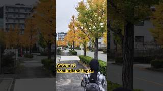 To Yomiuriland [upl. by Led567]