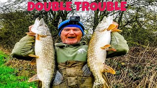 Float fished dead baiting for Pike on the drains  Double trouble [upl. by Ag]