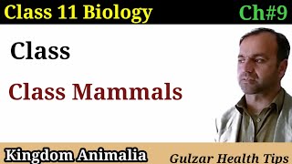 Class mammals  kingdom Animalia  class 11th Biology  kpk health tips [upl. by Nwatna]