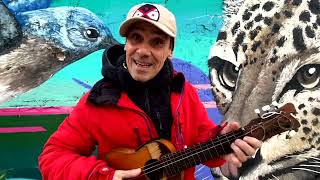 Manu Chao  Como un animal  2a parte Official Live Video [upl. by Gerladina]